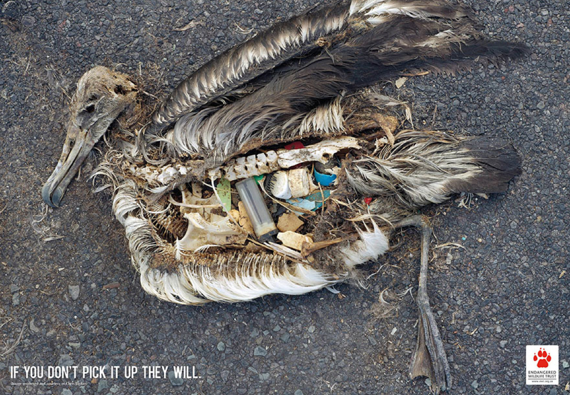 Bilinçsizce çevreye atılan çöpler, doğayı kirletip uzun yıllar geri dönüşüm sürecinde bulunmaktadır. Aynı zamanda doğaya bırakılan bu çöpler, karınlarını doyurmak isteyen hayvanlar tarafından besin zannedilip tüketilmeye çalışılmakta ve hayatlarına son vermektedir. Doğaya ve hayvanlara saygılı ol.