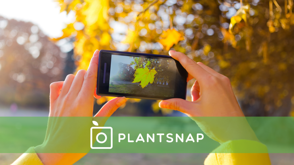 PlantSnap Plant Identification﻿ ios indir