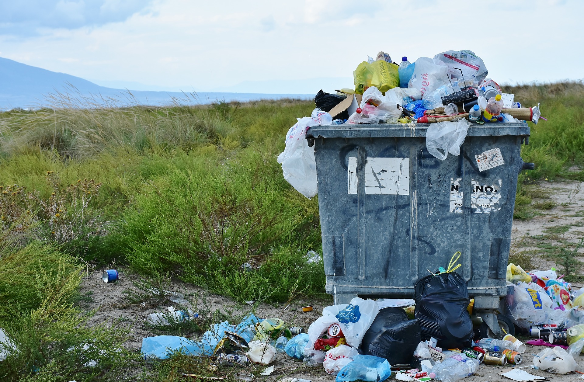 sosyal sorumluluk projeleri ve markalar