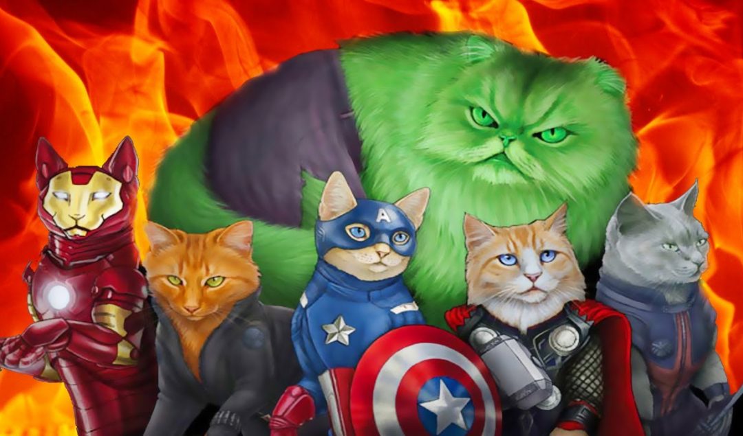 süper kahraman kediler