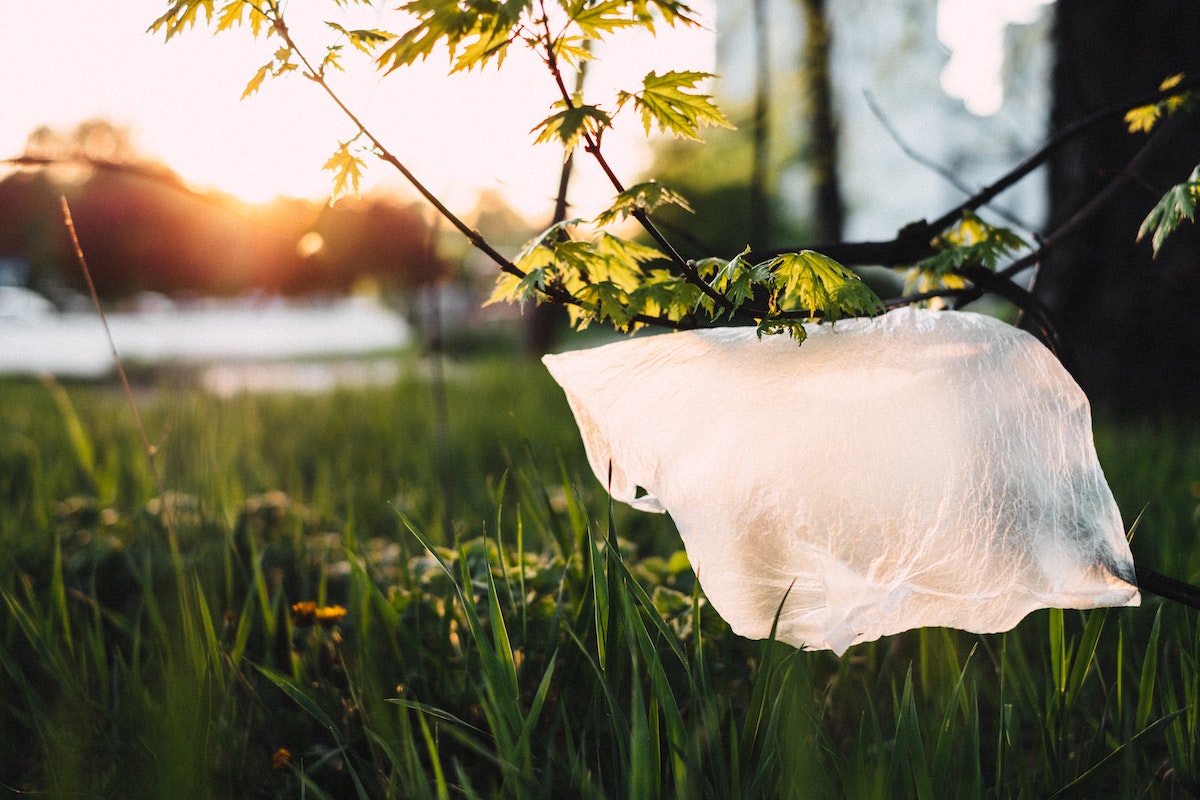 plastik-kullanimi-lanet-mi-yoksa-kurtarici-mi?