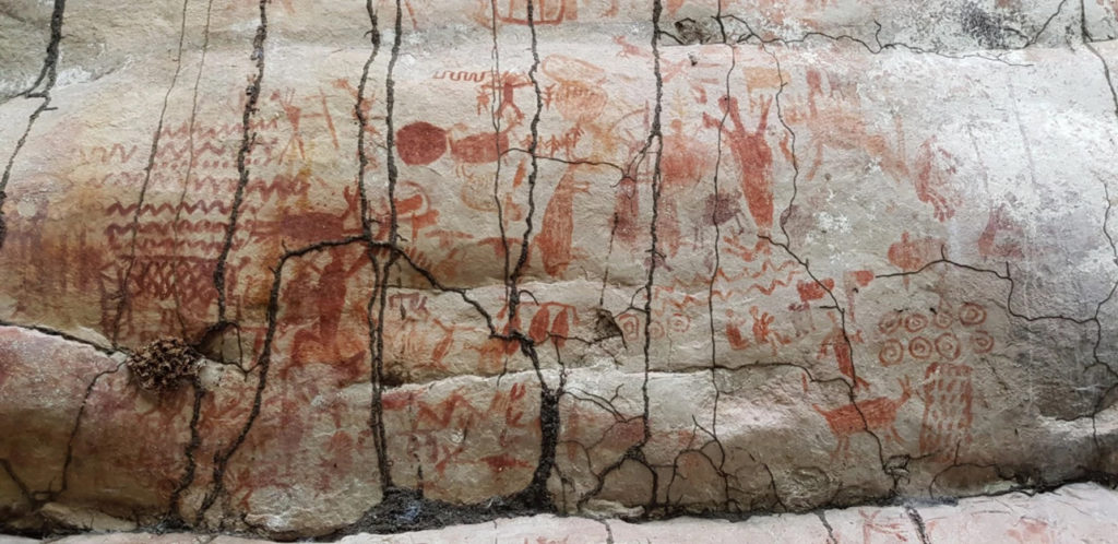 Kolombiya Amazon'unda On Binlerce Petroglif - Kaya Resmi