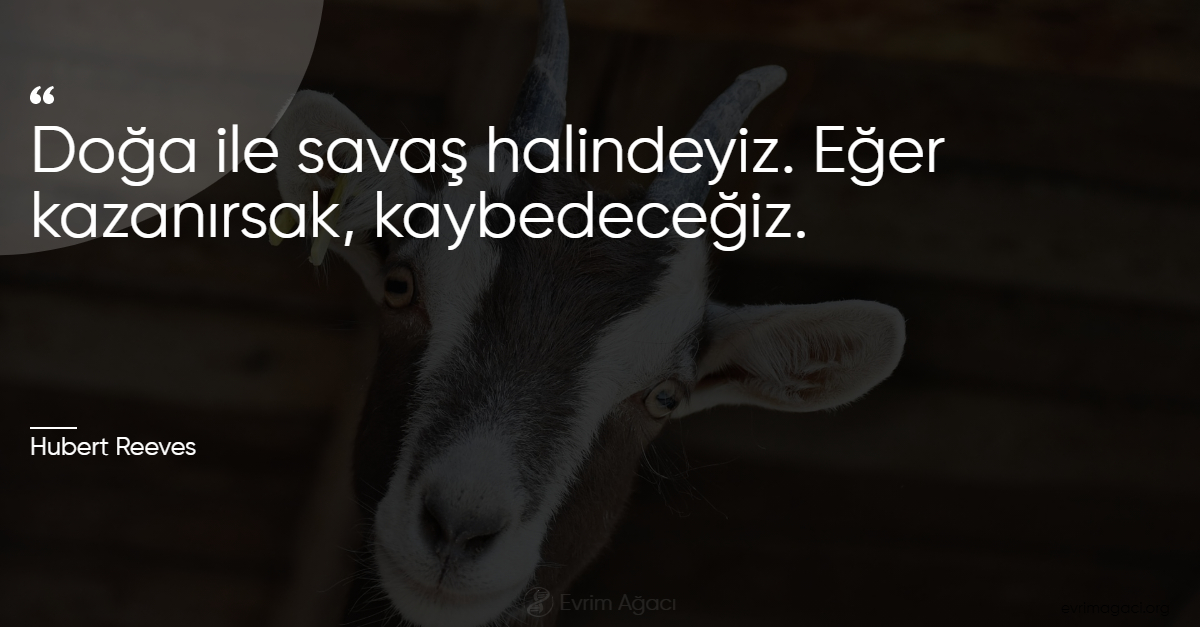 Doğa Ile Savaş Halindeyiz Kazanırsak Kaybedeceğiz